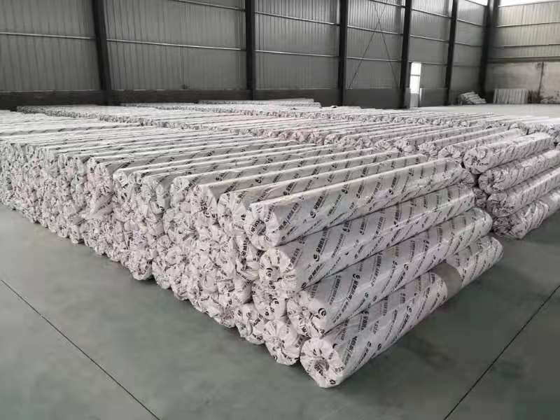 هل خط إنتاج الغشاء المقاوم للماء TPO أداة فعالة؟